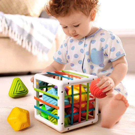 Droppzi Box - Educational Box