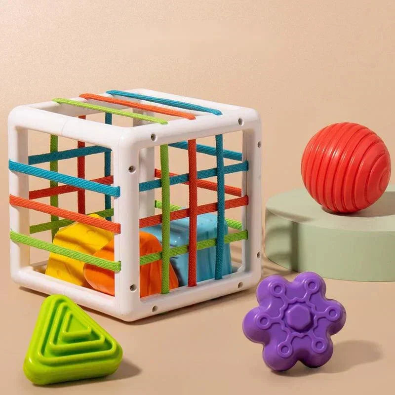 Droppzi Box - Educational Box