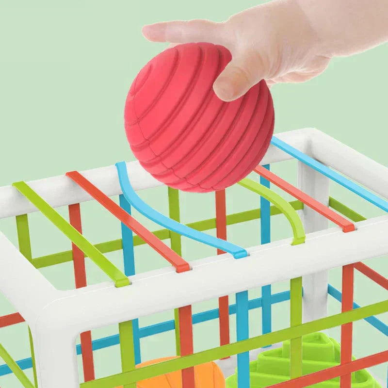 Droppzi Box - Educational Box