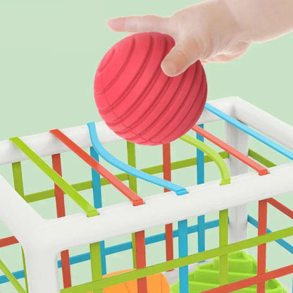 Droppzi Box - Educational Box