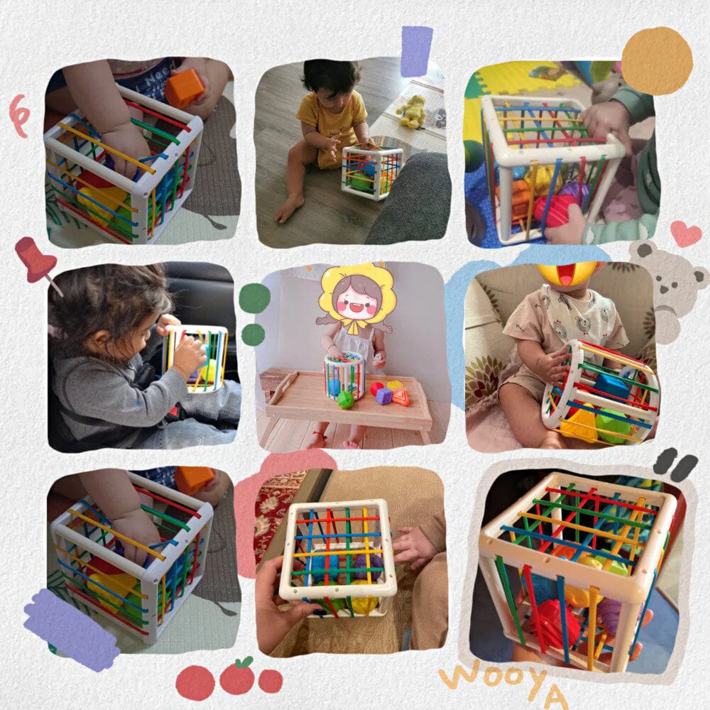 Droppzi Box - Educational Box